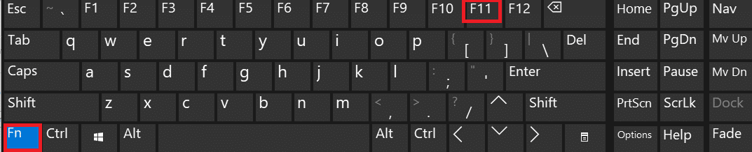 If the full-screen mode in Chrome is not enabled after hitting the F11 button, press FN+F11 keys together, where FN is the function key.