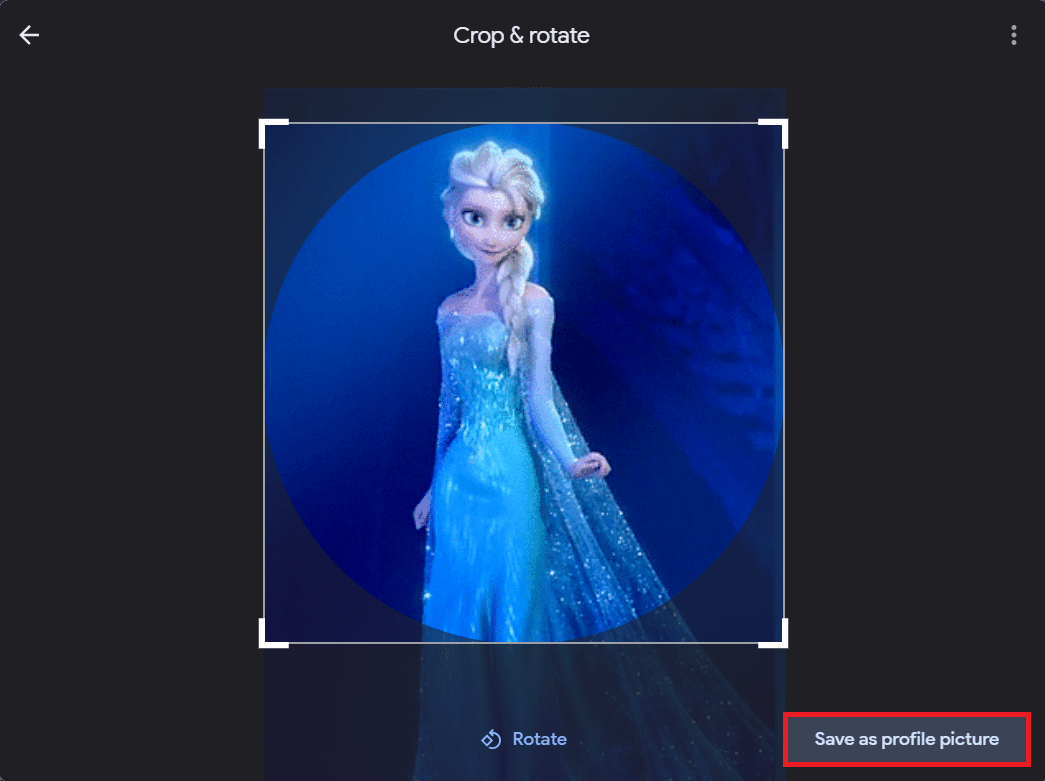 In the Crop and rotate window, select the area you wish to display by moving the selector and then click on the Save as profile picture button. How to Change My Google picture to Animated GIF