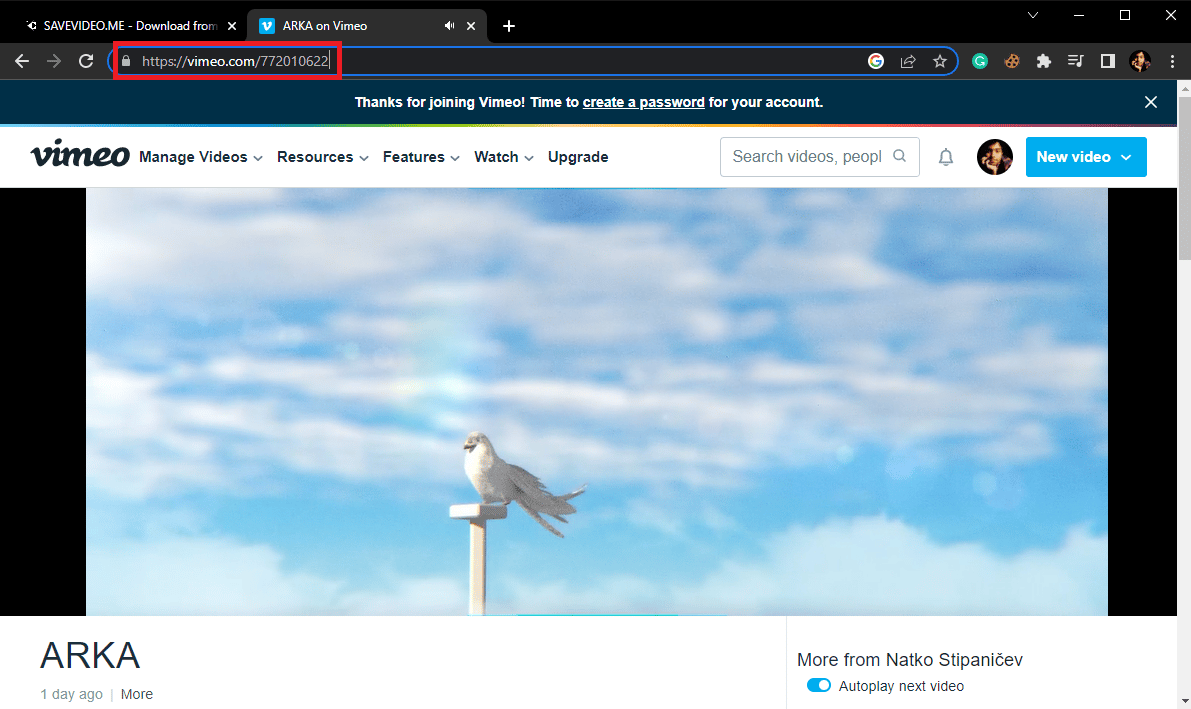 in the new tab open the Vimeo video that you want to convert and copy the link from the address bar