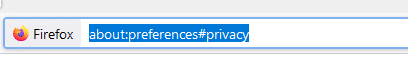 go to browser privacy