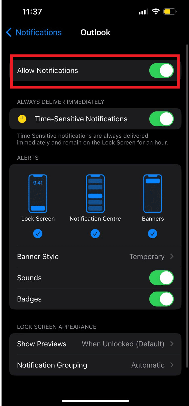 locate the Allow Notifications option and turn the toggle on or off.