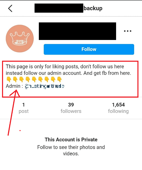 main account name is given in the bio of the fake account | How to Find Out Who Made a Fake Instagram Account