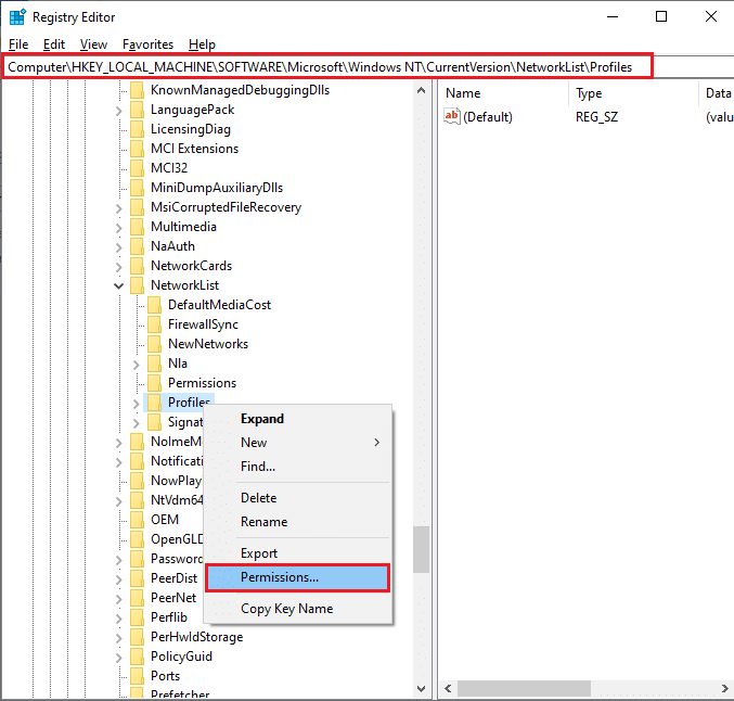 Navigate to HKEY LOCAL MACHINE SOFTWARE Microsoft WindowsNT CurrentVersion NetworkList Profiles in the registry editor. Fix Microsoft Store Not Working Windows 10
