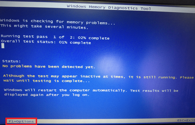 Now, after a restart, and Windows Memory Diagnostics Tool will open up. Then, hit the F1 key to open Options