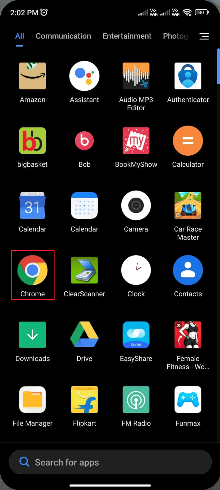 Chrome icon 