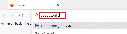 Open Firefox and type about config in the address bar. 