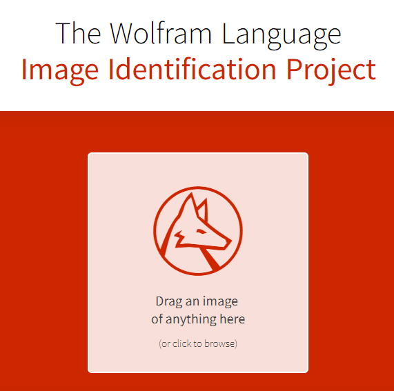 Open the official website of the Image Identification Project
