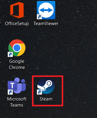 Open your Steam client