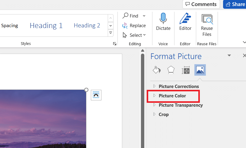 Picture Color option. How to Convert Image to Grayscale Paint