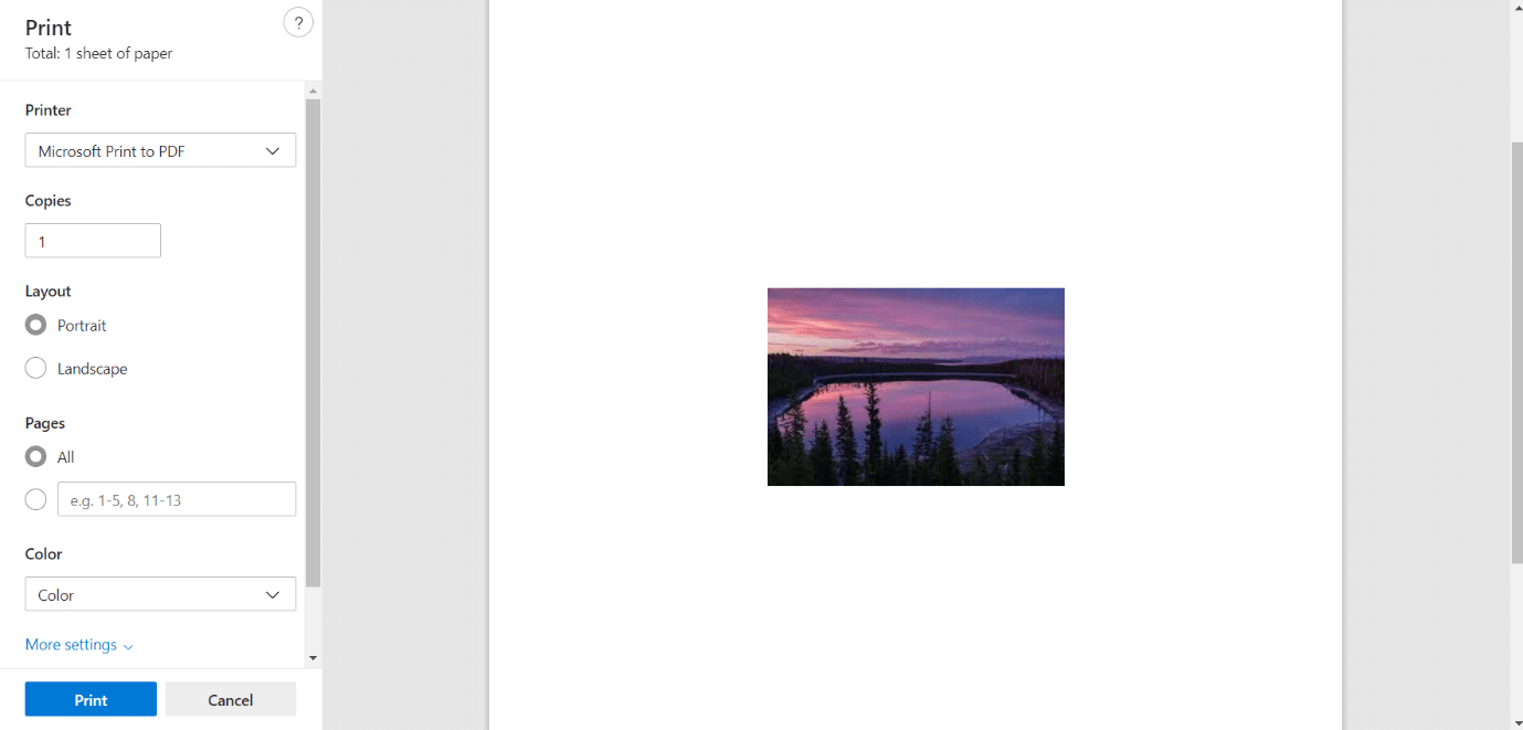 Screen after clicking Ctrl and P keys together. how to make a picture black and white in paint windows 10