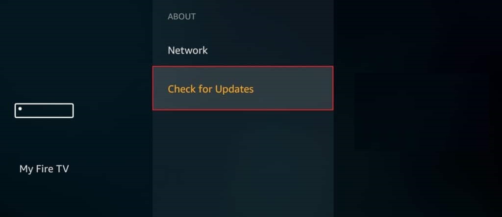 select-Check-for-updates-in-Amazon-firestick