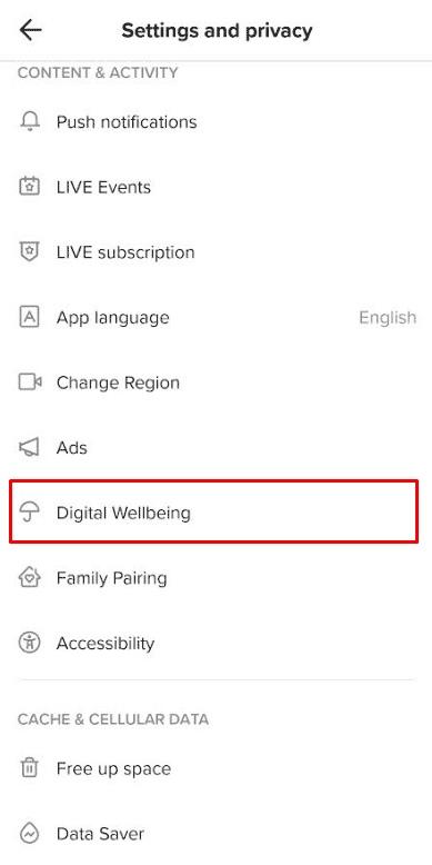 Select Digital Wellbeing under the CONTENT and ACTIVITY section