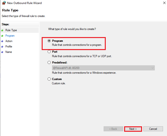Select Program from the options and click on Next