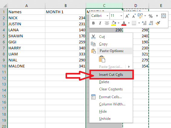 select the column before which you want to insert your cut column and then right-click on the selected column