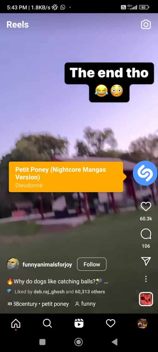 Shazam finds the song name