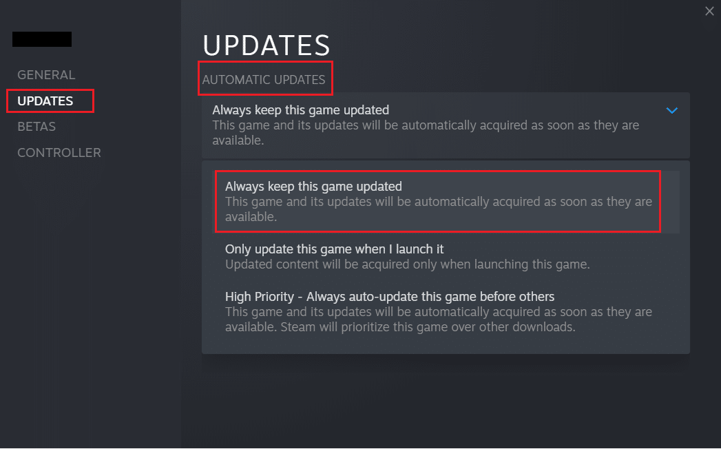 steam automatically update game