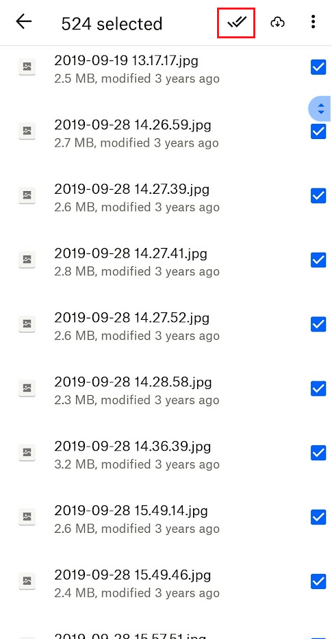 tap-hold the file from the list and tap on the double checkmark icon to select all the files