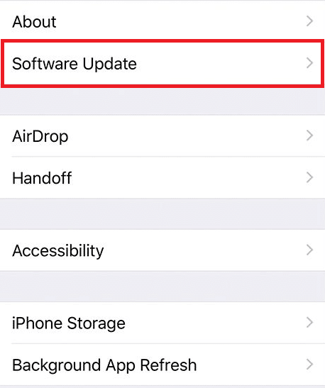 tap on Software Update