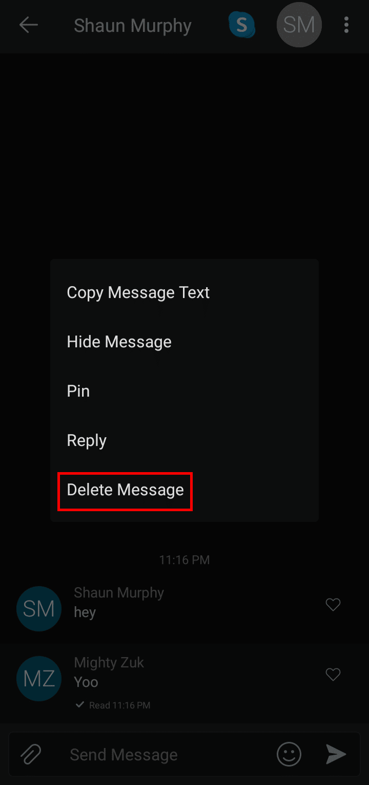 Tap on Delete Message.