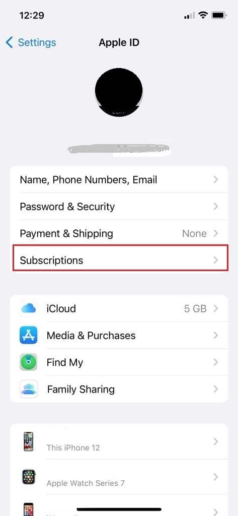 tap on subscription in iPhone apple id setting