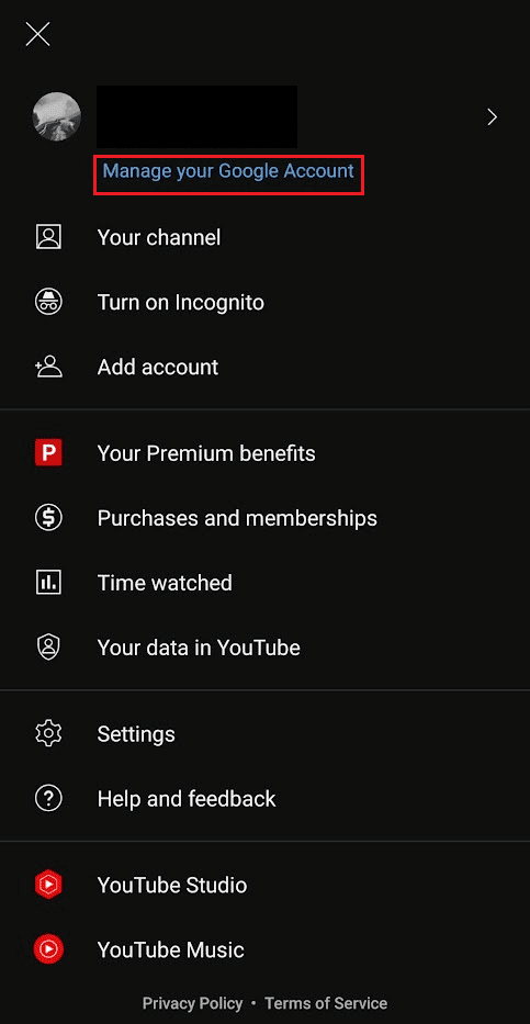 tap on the Manage your Google Account option