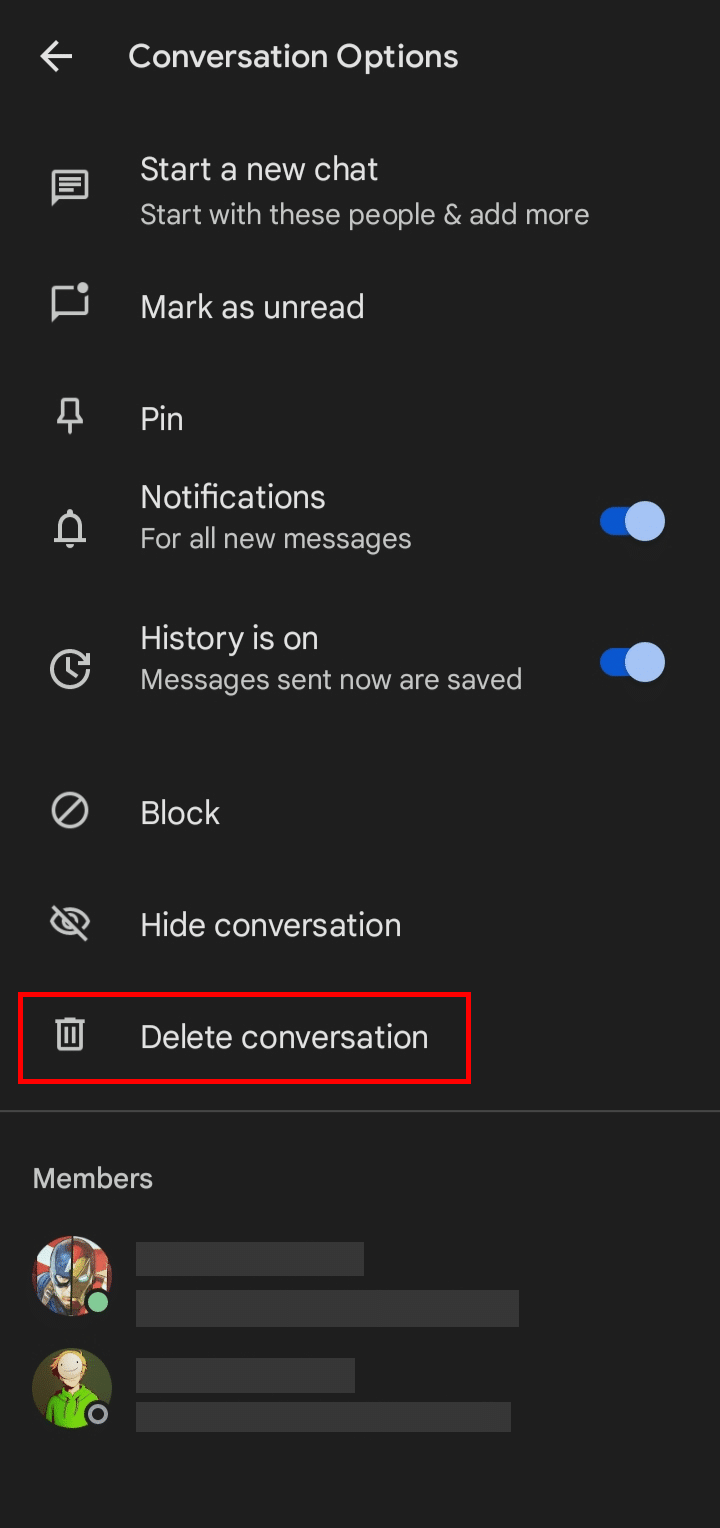 Tap on the Delete conversation option.