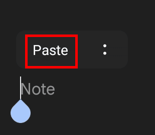 Tap on the Paste option to paste the text.