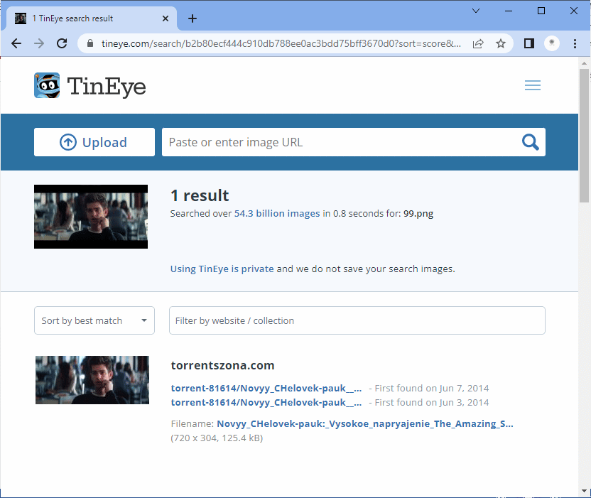 TinEye searches information for your image and the result 