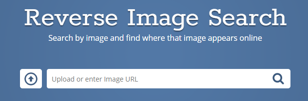 2 Tools to Perform Reverse Image Searches Online