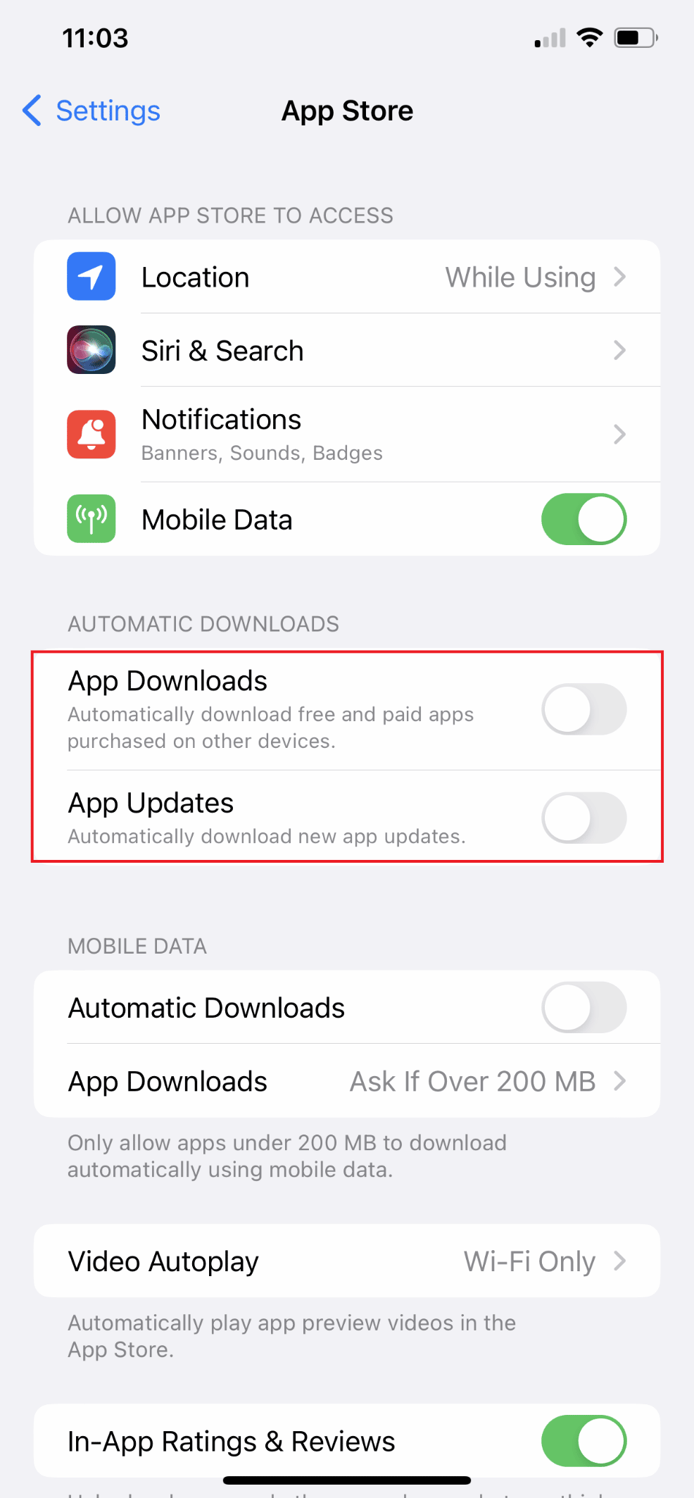 Turn Off App Downloads and App Updates