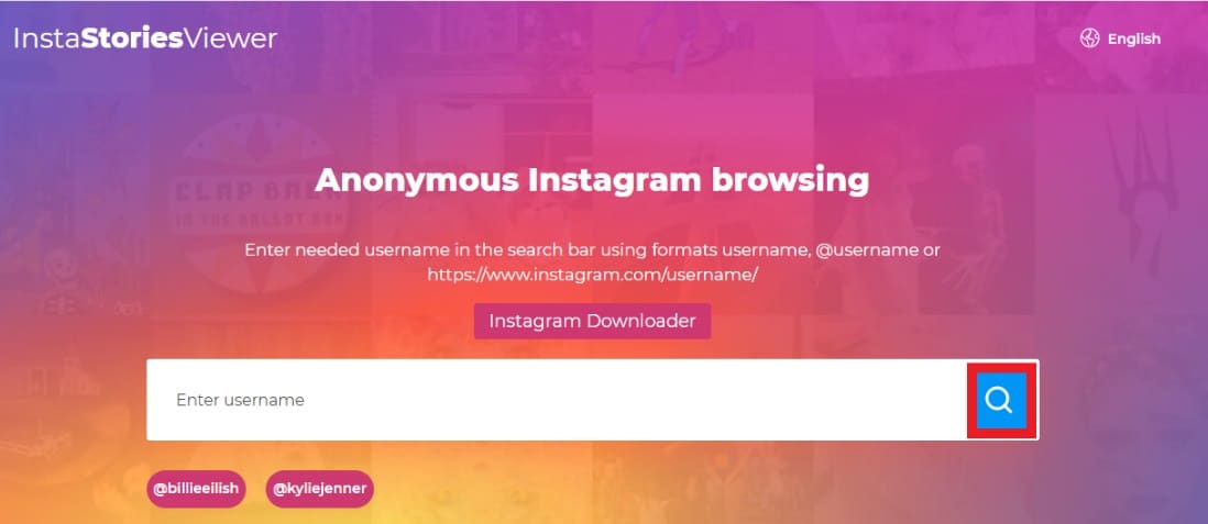 Type the person username in search bar in insta stories Viewer | View Instagram posts and stories without an account