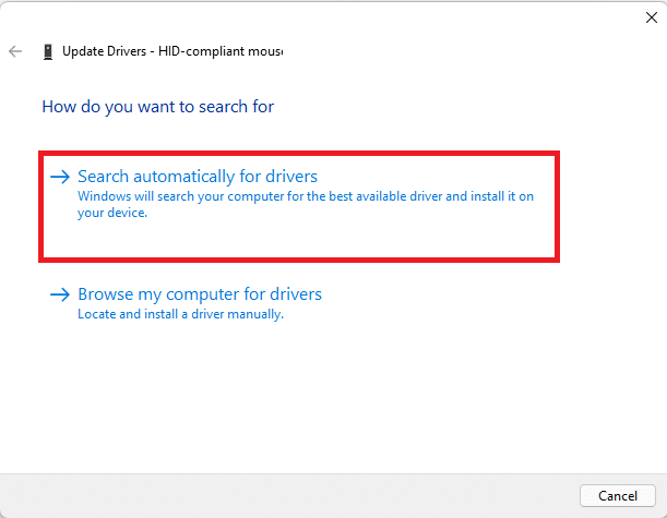 Select Search automatically for drivers in Update driver wizard Windows 11