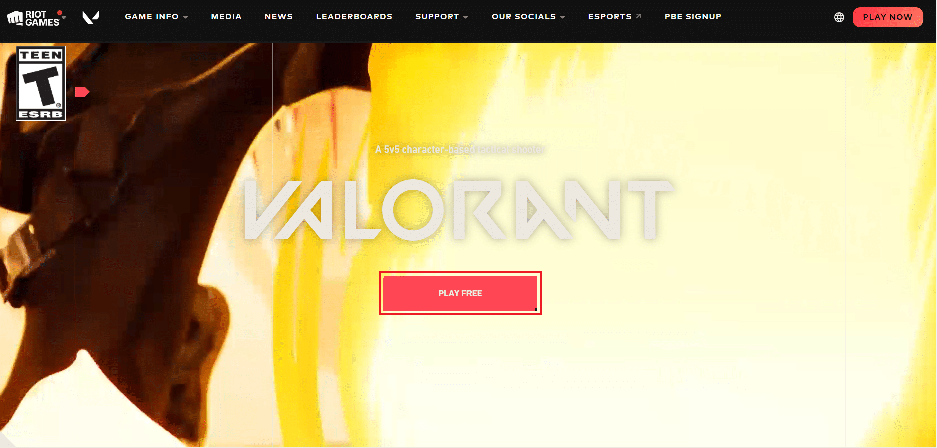 Valorant official download page