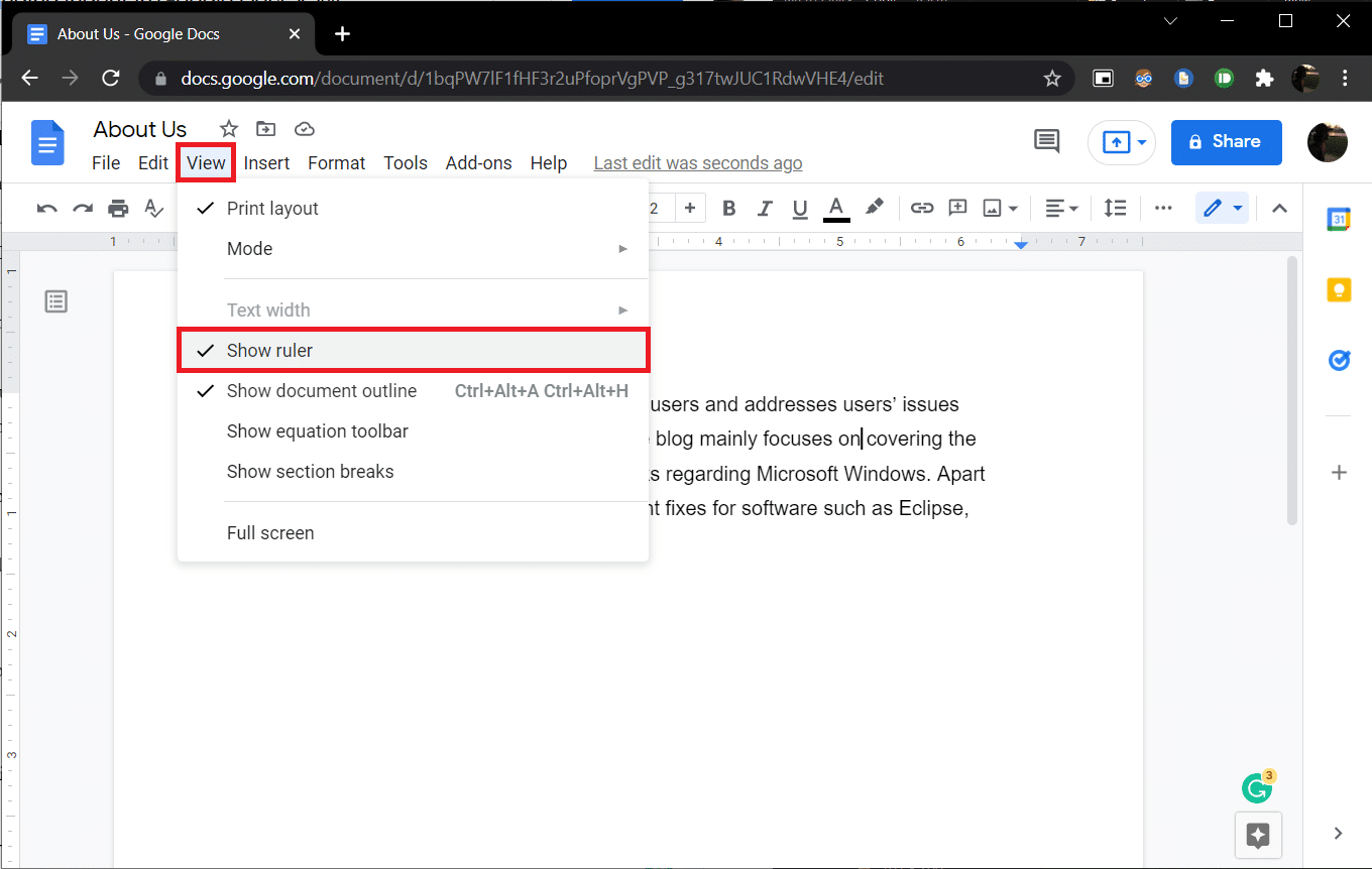 View option in Google Docs.