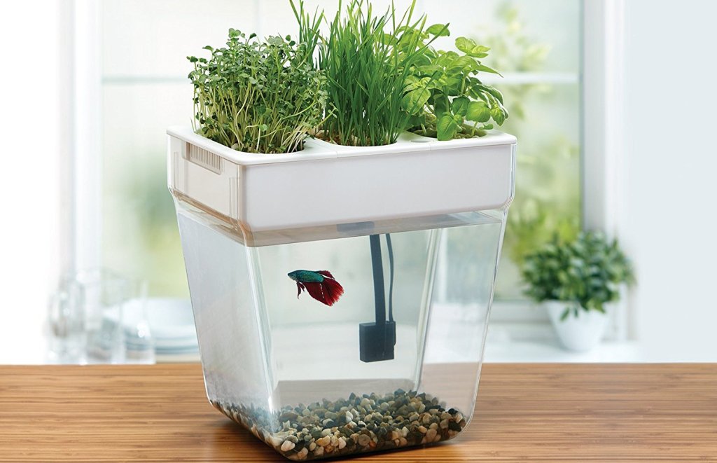 Water Garden é un incrible mini ecosistema de acuaponia para a túa casa