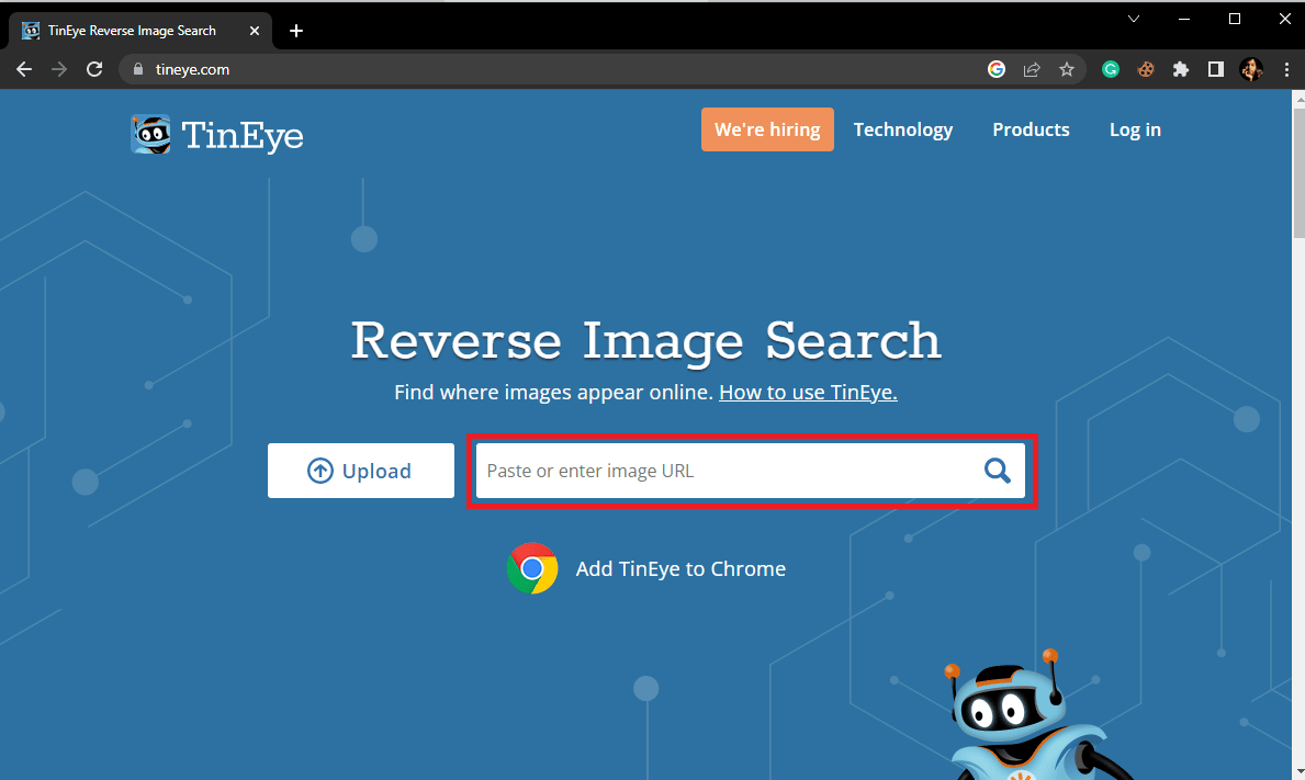 Вы также можете скопировать и вставить URL-адрес изображения в текстовое поле «Вставить или ввести URL-адрес изображения» для поиска изображения.